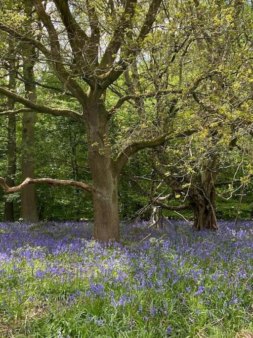 North Cottage Marlfields Hall, Stunning Location Adlington Dış mekan fotoğraf